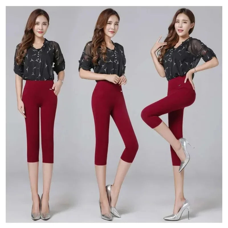 Luxencea™ High-Waist Warm Elastic Pencil Pants for Women